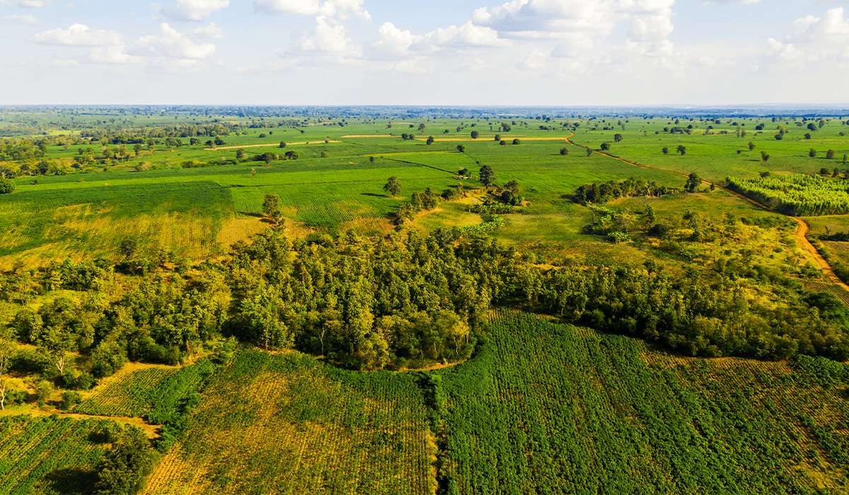 Land sourcing and site recommendations
