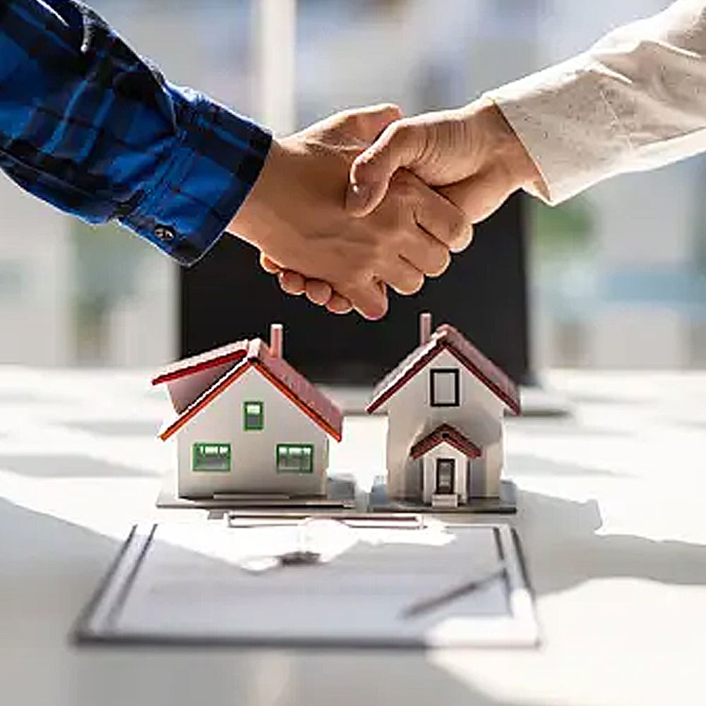 Property consultancy support